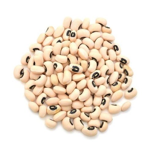 product-image.jpg